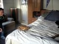 my german shepherd