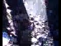 fuckin-creegan.html