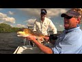 Sweetwater Snook (NEW EPISODE) - Awesome TOPWATER Explosions