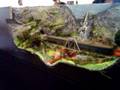 videos de 1º Model Mostra Lisboa - Video 1