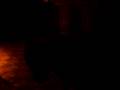 videos de alf prica