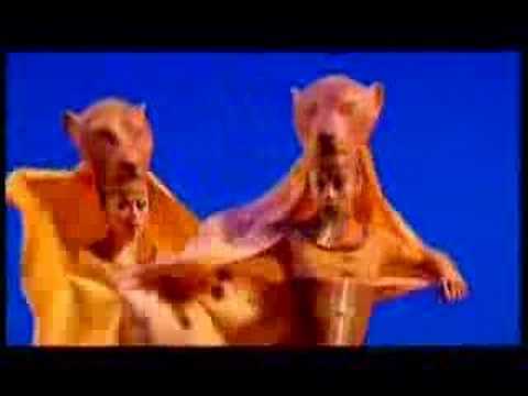 lion king