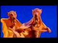 lion king musical