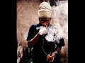 ganja farmer - marlon asher marlon asher, a native trinidadian started singing at the age of 7 in the choir of his grandparent's church. the name 