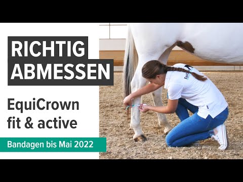 EquiCrown® active - Kompressionsbandage für Pferde