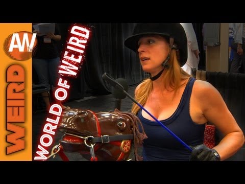 atomicwedgietv -