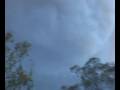 Bushfire-Forest-Fire