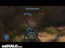 Double NoScope