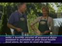 Hallelujah Acres Potato Salad