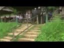 Angry Thai Elephants
