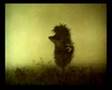 Hedgehog in the fog - Music Video
