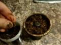 How To Pack A Vortex Bowl With HH/HF Video HookahPro.Com UK Hookah-Hookah/Hookah-Freak
