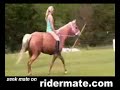 Blonde girl on a horse!