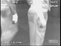 Infrared Fart