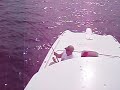 Catching six sailfish at one time