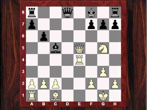 instant checkmate