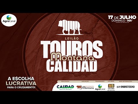 LEILO TOUROS MONTANA CALIDAD