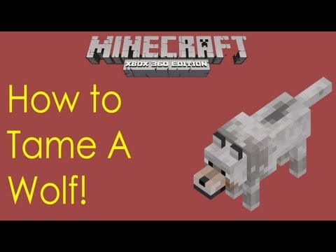 how to tame a wolf in minecraft xbox