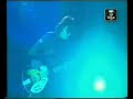 Afterhours - Elymania