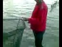 Cel mai mare crap prins la dunare delta lac somn