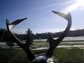 videos de The Humahorn Hunter Part 2: The Legend Dies