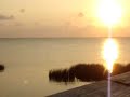 Thumbnail #3