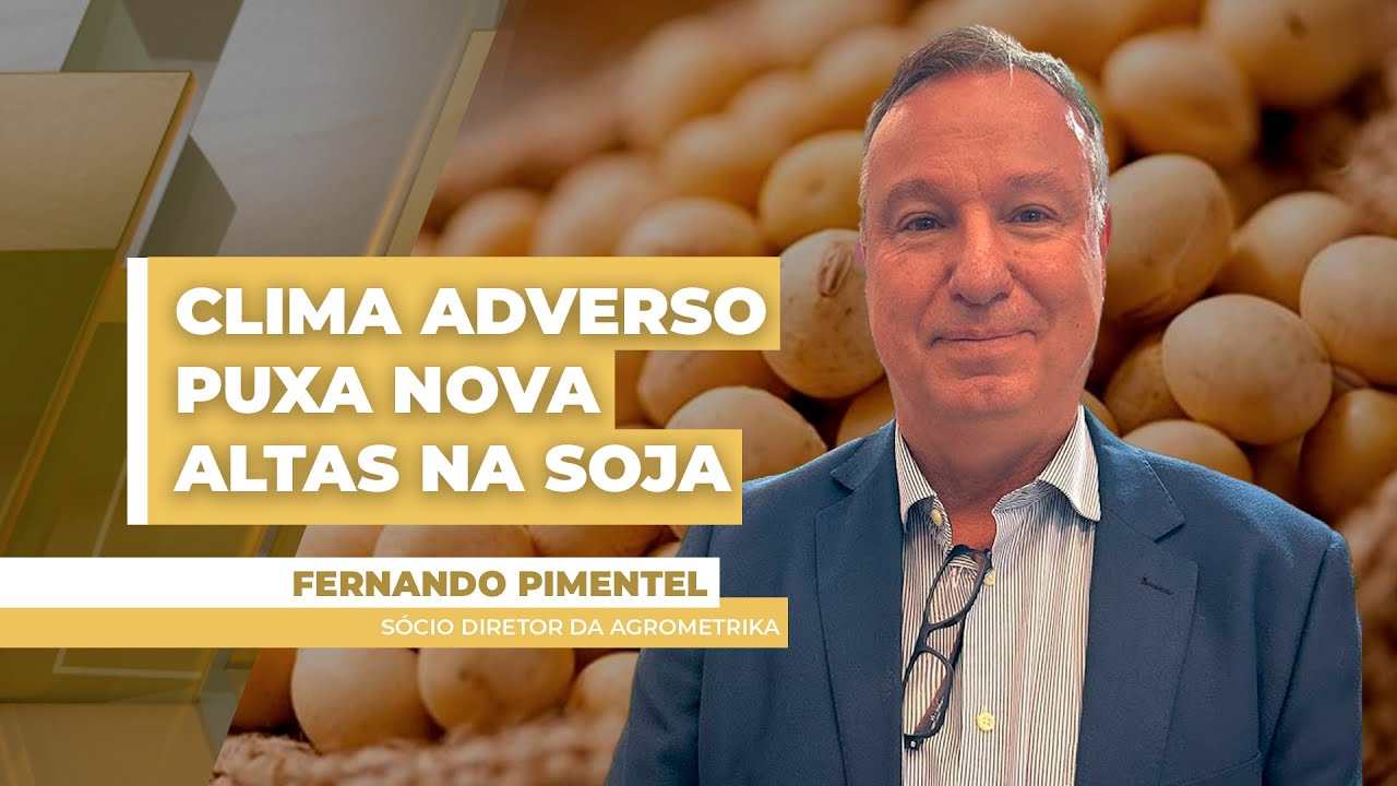 Soja: Clima adverso segue tirando produtividade de BR, Argentina e Paraguai e Chicago testa ...