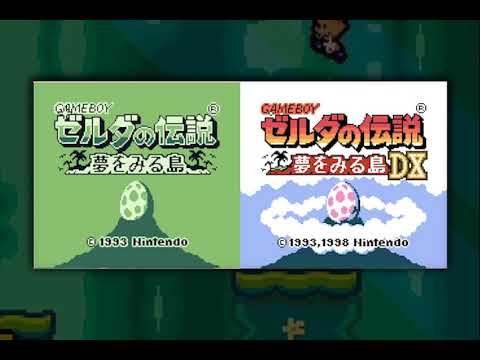 動画