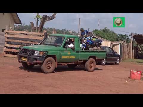 BATOURI - LUTTE CONTRE L´INSECURITE: UN GANG DE VOLEURS DE MOTO VIENT D´ETRE DEMENTELE PAR LA BRIGADE DE GENDARMERIE DE BATOURI.