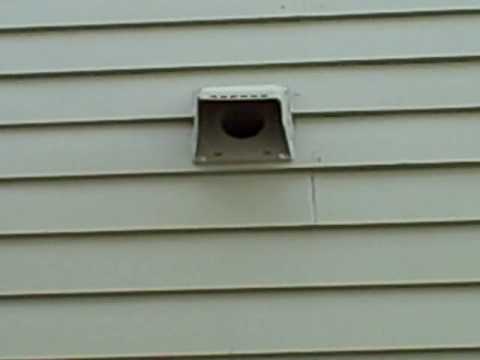 how to remove a bird nest from a dryer vent