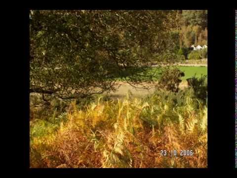 Glendalough Picture vid