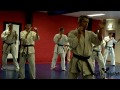 Ashihara Karate Training Honbu Zuidlaren 3 april 2011 Dojo Haragei en Dojo Ashido Music used: Land of the rising sun from the game: Heart of iron 3 Composer: Andreas Waldetoft I do not own any of the music used in this video, all credit goes to the makers of this song.
