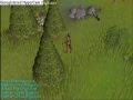 Runescape - Bow Arrow79 99 Hunter and guide!