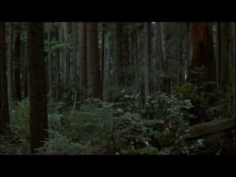 first blood - the forest scene where rambo is force to hurt the officers and tell them to get over hunting rambo or they will get a war they never regret.