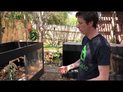 YouTube reptile video