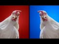 Domino's Techno Chicken Ad