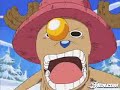 one piece AMV