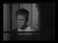 Gun Club fan video Gun Club fan video