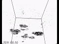 7935 Boids simulation in a GeForce8800GT 7935 Boids simulation in a GeForce8800GT