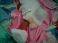 Welcome Cassandra Vernice Amon Calaycay