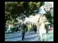 مسيرة الوفاء لروح الشهيد ياسر عرفات في بلدة العيزرية في ذكرى استشهادة الثالثة التي كانت بتنظيم من حركة التحرير الوطني الفلسطيني فتح و منظمة الشبيبة الفتحاوية
