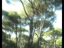 trekking tripetetolo roselle castiglione della pescaia