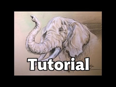 how to draw elephant
