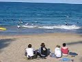 Manly Beach Sydney Manly Beach Sydney