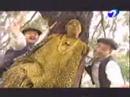 Kin Otto; Bosta