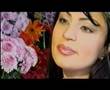 azerbaijanian music  ayri yollar