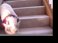 the-amazing-skidboot.html