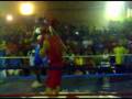 videos de boxe amador