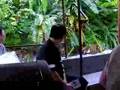 Jungle-cruise-in-HK-