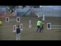 Sister USDAA Start Jumpers 10-16-09